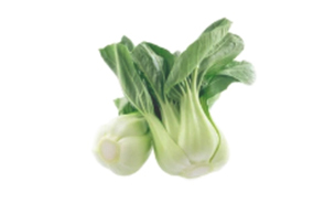 白菜
