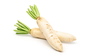 蘿蔔