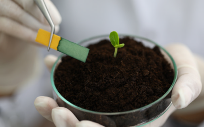 SeedTesting_02