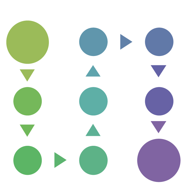 SeedTesting_flow