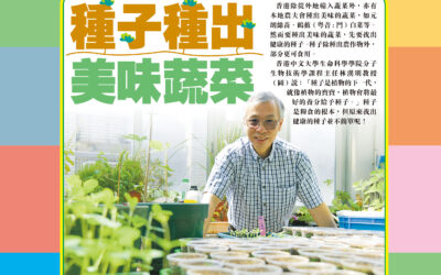 Seeds grow delicious vegetables (Chinese only)