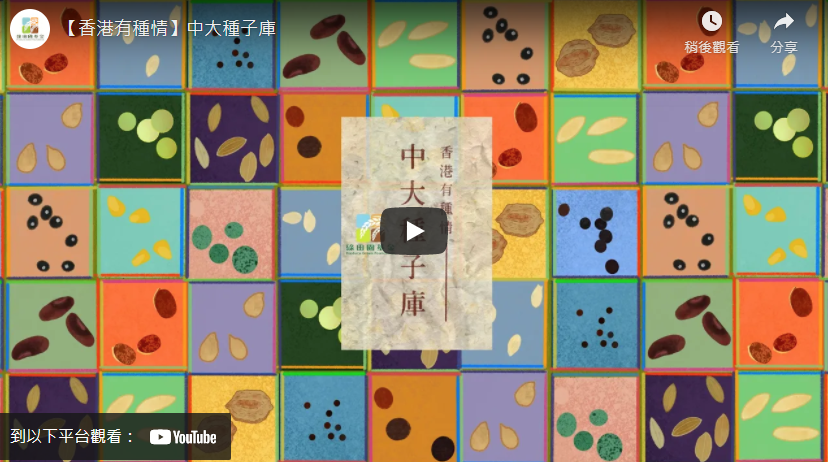 【香港有种情】中大种子库