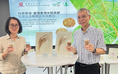 Genetic identification to preserve local heirloom rice varieties and facilitate their reintroduction in Hong Kong