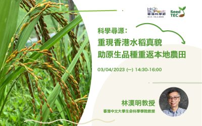 科學尋源：重現香港水稻真貌 助原生品種重返本地農田 (2023年4月3日)