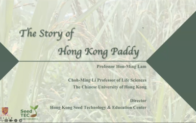 （活動回顧）香港水稻故事及SeedTEC介紹（2023年 9月 13日）